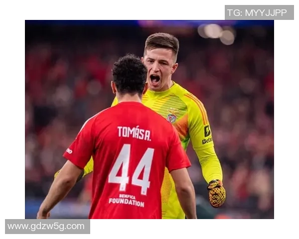 西甲精彩对决切尔西4-0本菲卡十大进球瞬间引发全场狂欢